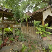 rungus longhouse