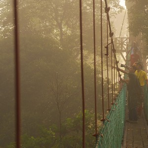 Danum Valley