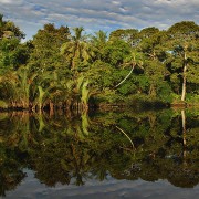 Klias River Reflection