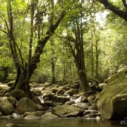 GUNUNG GADING NATIONAL PARK