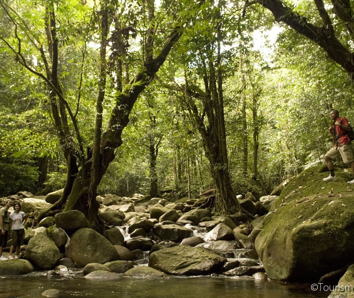 GUNUNG GADING NATIONAL PARK