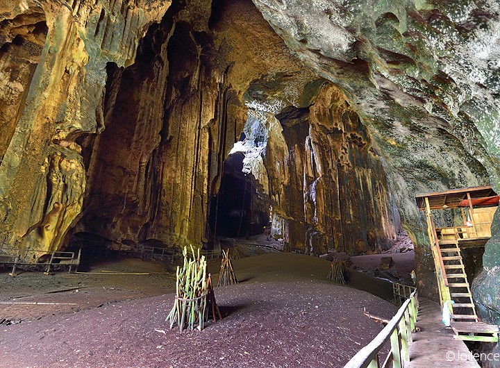 Gomantong cave