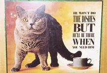 Feline poster: 'A cat turns a house into a home'