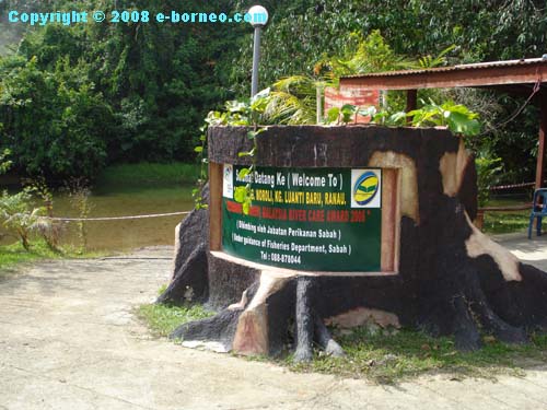 Fish Massage at Kampung Luanti, Ranau - signboard near the Moroli river