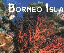 Sabah Island & Diving Holiday