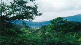 An aerial view of Bario in the Kelabit Highlands