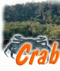 Gaya Island Crab Catching Tour, Kota Kinabalu, Sabah, Malaysia Borneo