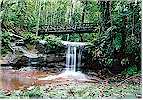 A smaller waterfall at Lambir Waterfall National Park