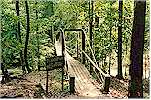 Canopy Walk at Lambir