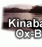 2D/1N Kinabatangan River and Ox-Bow Lake, Sandakan, Sabah, Malaysia Borneo