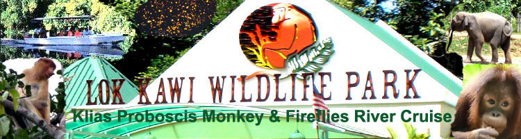 Lok Kawi Wildlife Park and Klias Proboscis Monkeys Fireflies River Cruise