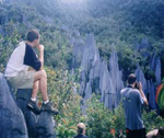 6D/5N Mulu Clear Water & Pinnacles Adventure