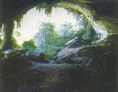 Niah Caves