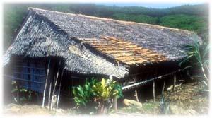 Rungus Longhouse at Kudat,Tip of Borneo, Sabah, Malaysia Borneo