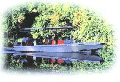 Boat cruise along the Klias River, Sabah, Malaysia Borneo