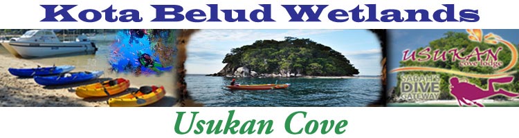 Kota Belud Wetlands Usukan Cove