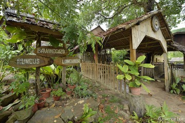 rungus longhouse